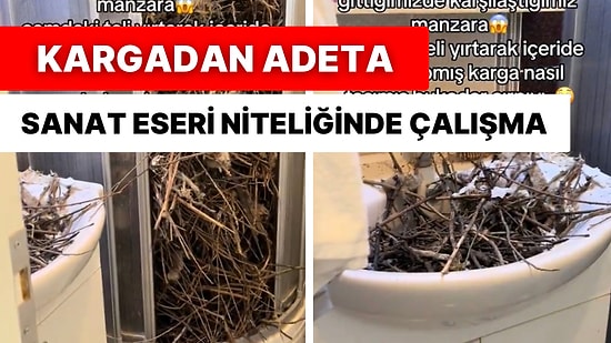 Camlarınızı Açık Bırakmadan Önce Bir Kez Daha Düşüneceksiniz! Kargalar Evin Banyosunu Adeta Ele Geçirdi