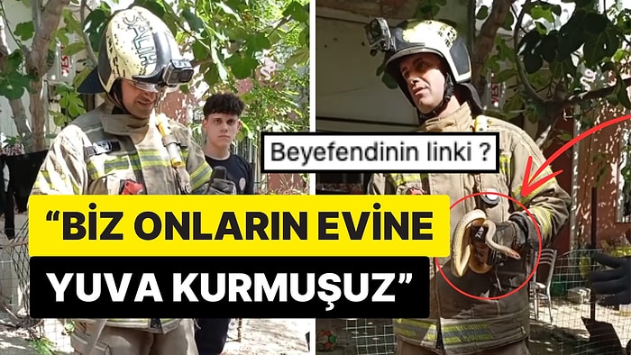 Mahalleliyle Sohbet Eden Hayvansever İtfaiyecinin Konuşması Sosyal Medyada Büyük Takdir Topladı