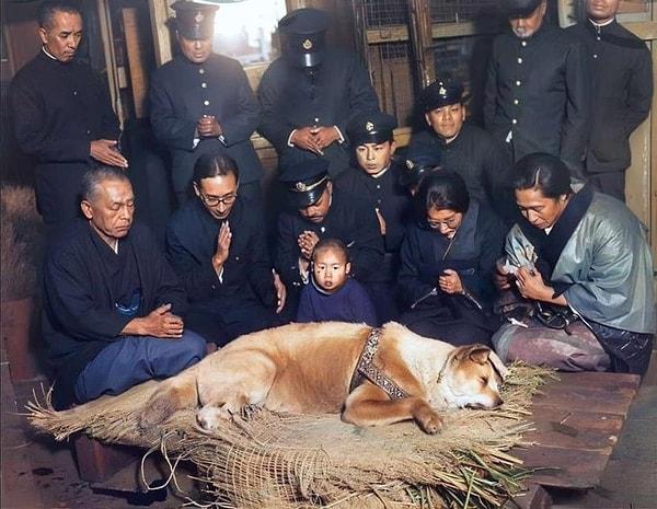 5. Shibuya İstasyonu'nun dışında 9 yılı aşkın bir süre boyunca sahibinin öldükten sonra bile geri dönmesini bekleyen sadık köpek Hachiko'nun son fotoğrafı.