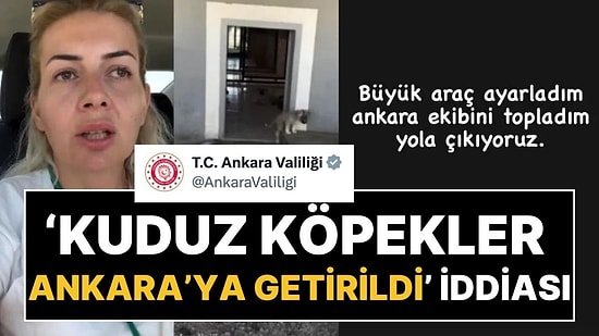 Ankara Valiliği'nden Açıklama: Kuduz Köpekler Ankara'ya mı Getirildi?