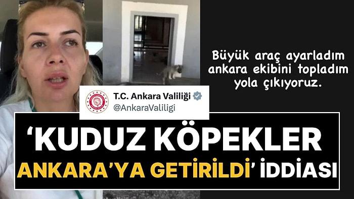 Ankara Valiliği'nden Açıklama: Kuduz Köpekler Ankara'ya mı Getirildi?