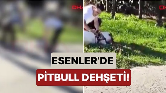 Sahibini de Isırmaya Çalıştı: Esenler'de Ağızlıksız Gezdirilen Bir Pitbull Sokak Kedisine Saldırdı