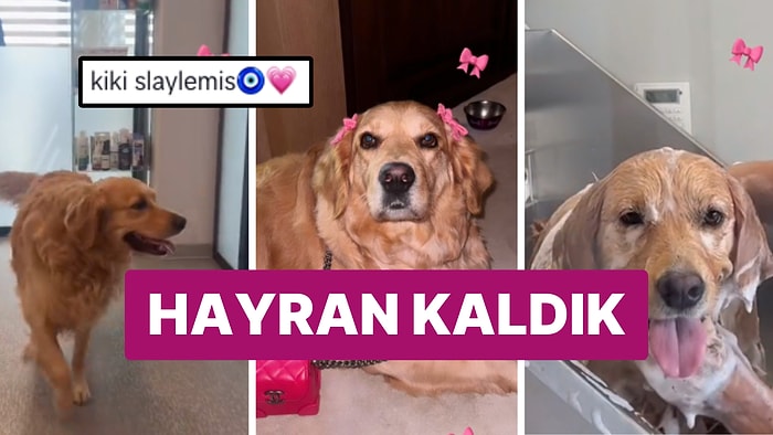 Dişil Enerjinin Böylesi: Danla Bilic'in Köpeği Kiki'nin Tatlılığını Görünce Bayılacaksınız!