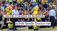 Fenerbahçe Beko'nun Maskotu Yellow Anadolu Efes Maçında Başkan Ali Koç'u Taklit Etmesiyle Herkesi Güldürdü