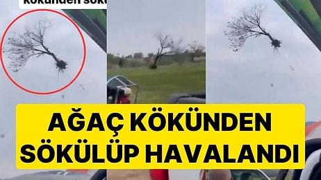 Nevşehir'de İlginç Olay! Sıcak Hava Balonunun Halatı Ağaca Takıldı, Ağaç Kökünden Sökülüp Uçtu!