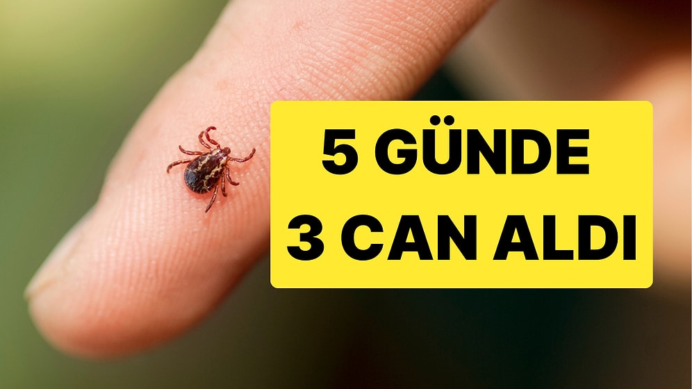 Sivas'ta Kene Beş Günde Üç Can Aldı: Sebebi Kaçak Avlanma Olabilir mi?