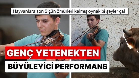 Bakımını Yaptığı Kurbanlık Hayvanlara Keman Çalan Genç Yetenek İzleyenleri Etkisi Altına Aldı