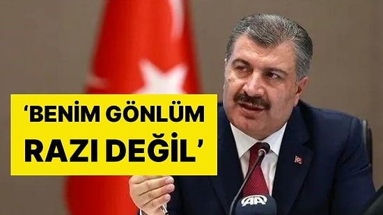 Sokak Köpeklerinin 'Uyutulması' Konusunda Geri Adım mı Atıldı?: 'Benim Gönlüm Razı Değil'