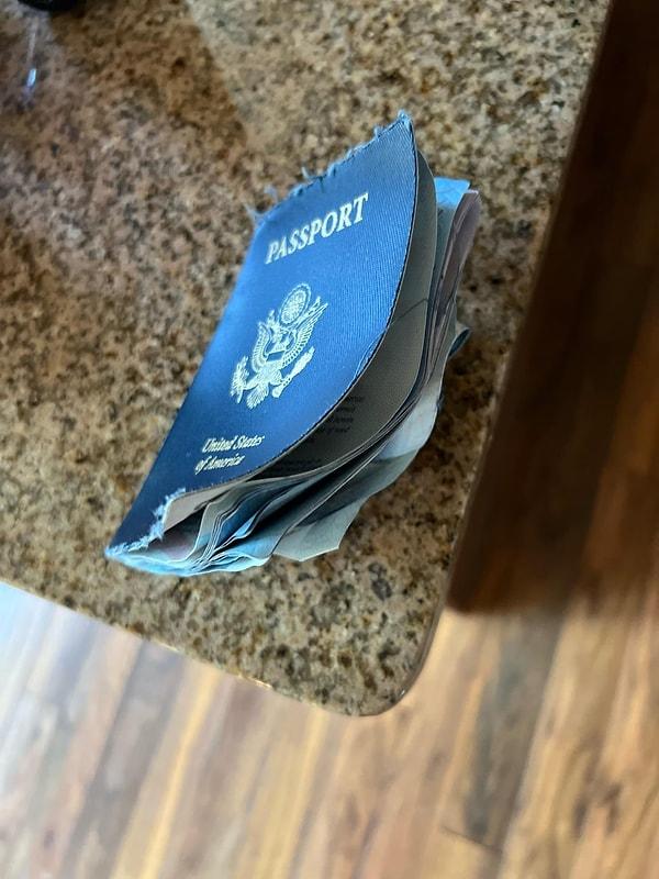 "Pasaportumu yıkadım!"
