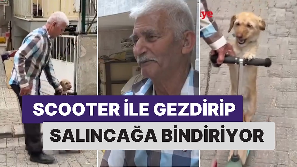 78 Yaşındaki Muharrem Yılmaz 2 Yıl Önce Sahiplendiği Köpeğini Torunlarından Ayırmıyor!