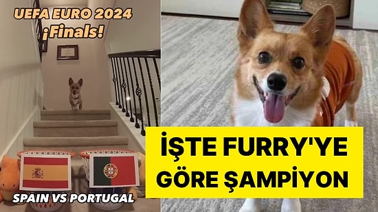 Devler Ligi'nin Kazananını Bilmişti! Tahminci Fenomen Köpek, EURO 2024 Şampiyonunu da Tahmin Etti
