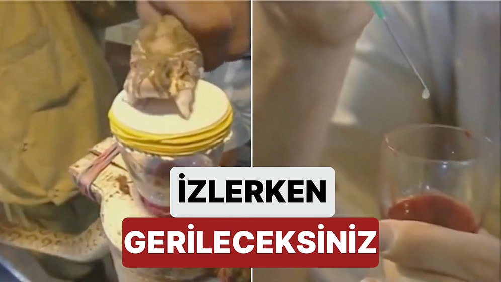 Bir Damla Yılan Zehrinin İnsan Kanını Ne Kadar Hızlı Bir Şekilde Pıhtılaştırdığını Biliyor muydunuz?