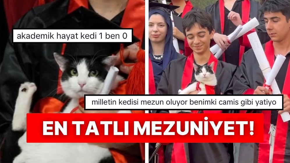 Güzel Sanatlar Lisesinin Maskotu Prenses Kediye Diploma Verildiği Anlara Kalpler Eridi