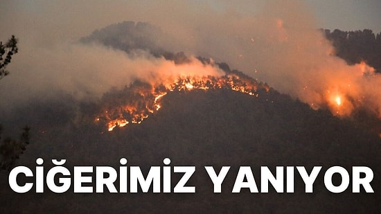 Denizli’de Çıkan Orman Yangınını Söndürme Çalışmaları Devam Ediyor