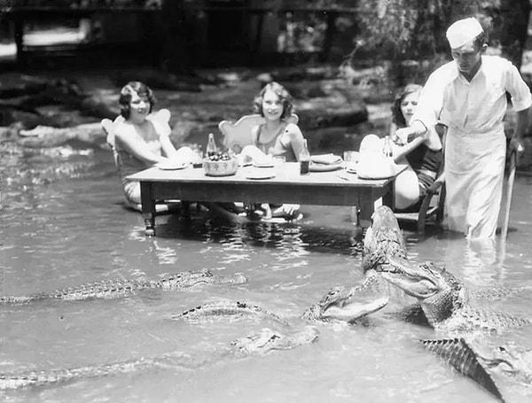 1. Los Angeles'taki Kaliforniya timsah çiftliğinde piknik yapan ve bir işçinin timsahlardan birini beslemesini izleyen turistler. (1920)
