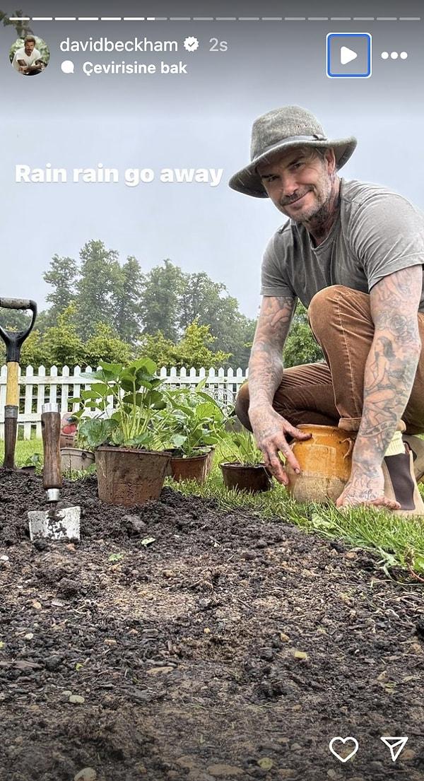 David Beckham çiftçi oldu.
