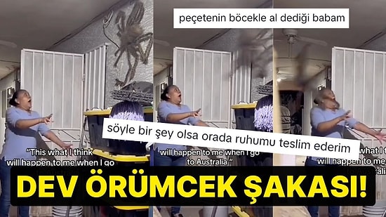 Avustralya'dan Beklediği Örümcek Boyutunu Paylaşırken Kalp Krizi Geçirten Kullanıcı!