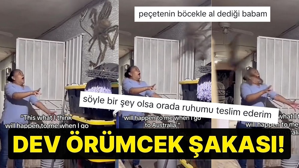 Avustralya'dan Beklediği Örümcek Boyutunu Paylaşırken Kalp Krizi Geçirten Kullanıcı!