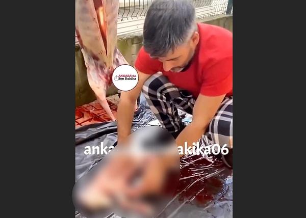 Ankara'da bir vatandaşın kestiği koyun hamile çıktı.