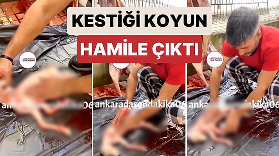 Kalp Masajıyla Hayata Döndürmeye Çalıştı: Ankara’da Bir Vatandaşın Kurban İçin Kestiği Koyun Hamile Çıktı