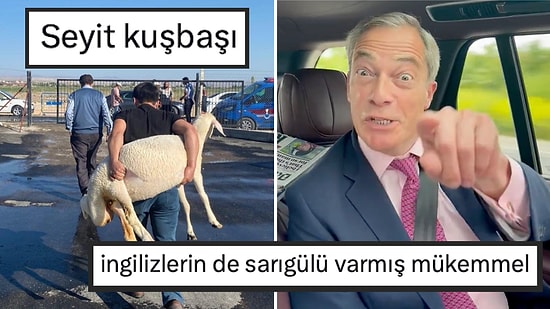 İngiliz Mustafa Sarıgül'den 'Seyit Kuşbaşı'ya Son 24 Saatin Viral Tweetleri