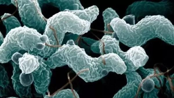 Uzmanlar, et yiyen bakteri kaynaklı ölümlerin ilk 48 içinde gerçekleştiğini ifade etti.