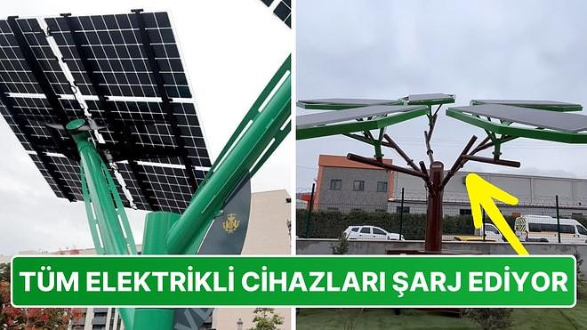 Valencia Şehrinde Elektrik Üreten "Güneş Ağaçları" Kuruldu: Elektrikli Araçları Şarj Ediyor!