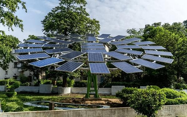 3.6 kW kapasiteye sahip panellerden oluşan güneş ağaçlarının, yılda 18.596 kWh'er kadar elektrik üretmesi bekleniyor.