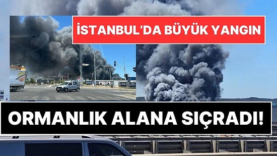Tuzla'daki Fabrika Yangını Büyüdü! Ormanlık Alan da Yanmaya Başladı