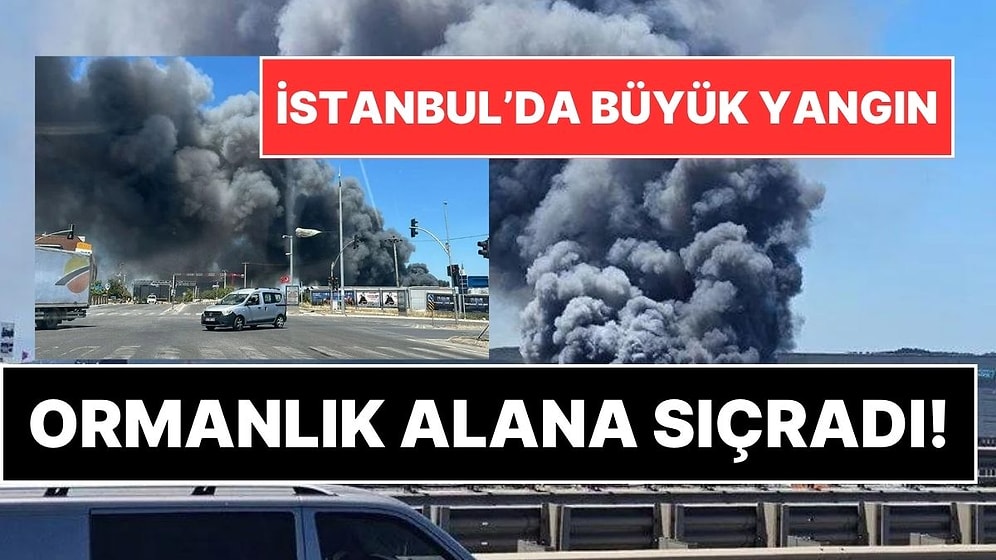 Tuzla'daki Fabrika Yangını Büyüdü! Ormanlık Alan da Yanmaya Başladı