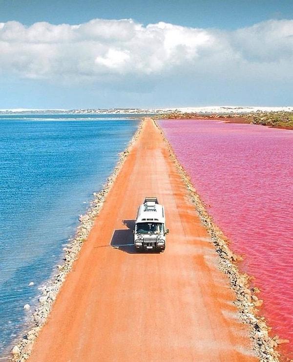 13. Batı Avustralya'daki Pembe Tuz göllerinin zıt renkleri.