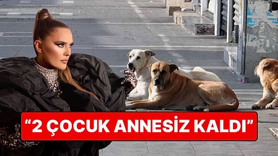 Demet Akalın Sokak Köpeklerinin Saldırdığı Kuzeninin Hayatını Kaybettiğini Duyurdu!