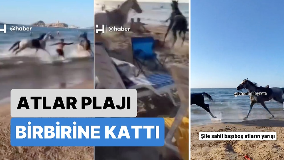 Denize Giren İnsanlar Neye Uğradığını Şaşırdı: Şile'de Sahibinden Kaçan 2 At Plajı Birbirine Kattı