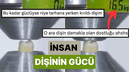 Bu Nasıl Olabilir? İnsan Dişinin Ne Kadar Güçlü Olduğu Bir Makine ile Ölçüldü