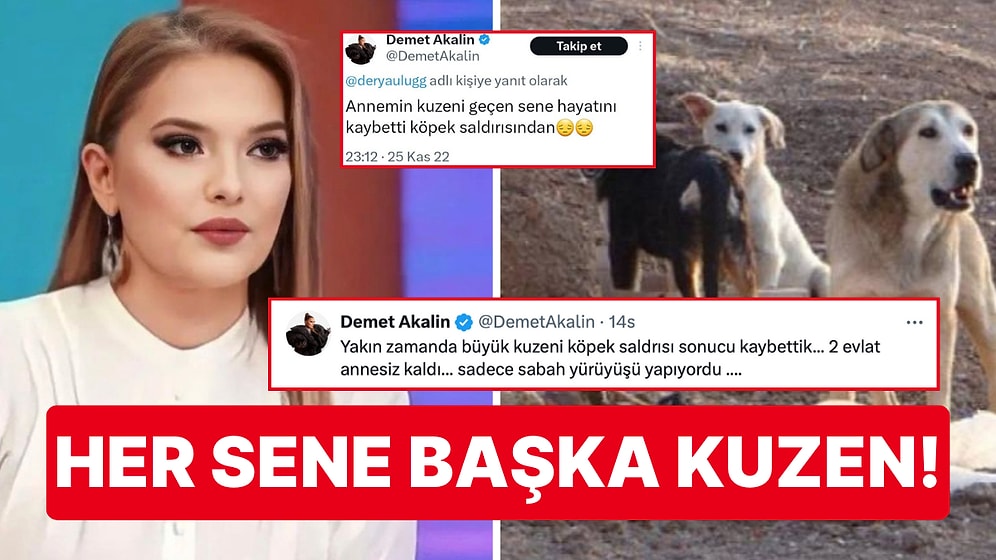 Demet Akalın'ın Her Sene Bir Kuzenini Köpek Saldırısından Kaybettiğini Açıklaması Sosyal Medyada Dikkat Çekti!