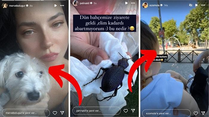 Mutluluğu Yüzünden Okunan Boluğur'dan Evini Böcek Basan Akil'e 19 Haziran'da Ünlülerin Instagram Paylaşımları