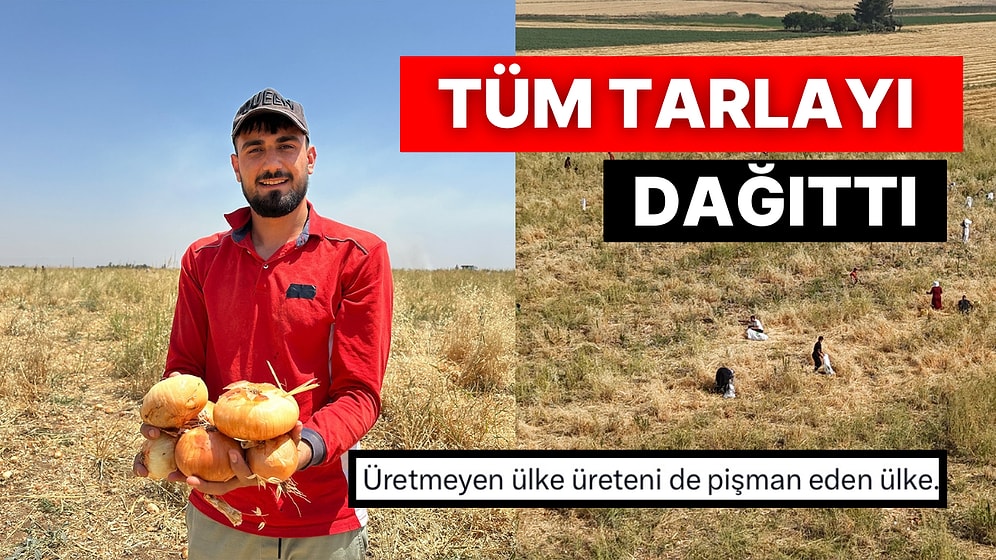 Mardin’de Bir Çiftçi Ektiği Soğanları Satamayınca Ücretsiz Dağıttı Vatandaşlar Rağbet Gösterdi