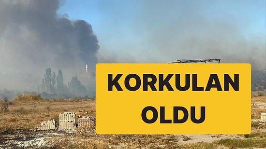 Çanakkale’de Orman Yangını: Yerleşim Yerlerine Ulaştı