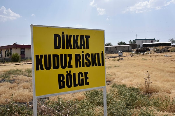 Şanlıurfa’da bir kuduz vakası daha tespit edildi.