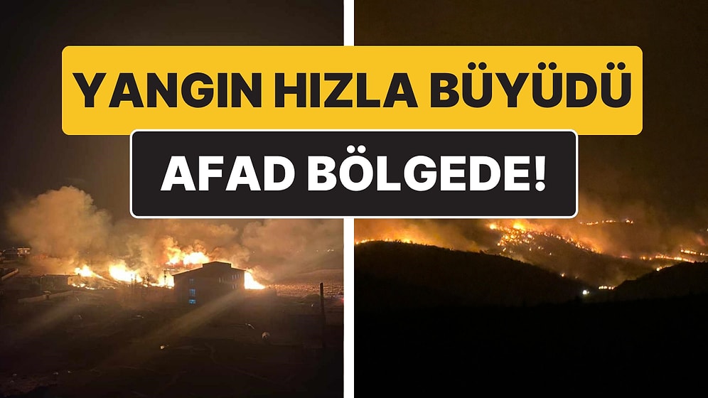 Diyarbakır’da Yangın Hızla Yayıldı: Çok Sayıda Ekip Sevk Edildi