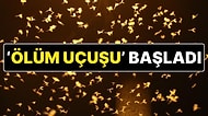‘Bir Gün Sinekleri’nin ‘Ölüm Uçuşu' Başladı: Yüzbinlerce Beyaz Kelebek 'Çiftleşerek' Öldü!