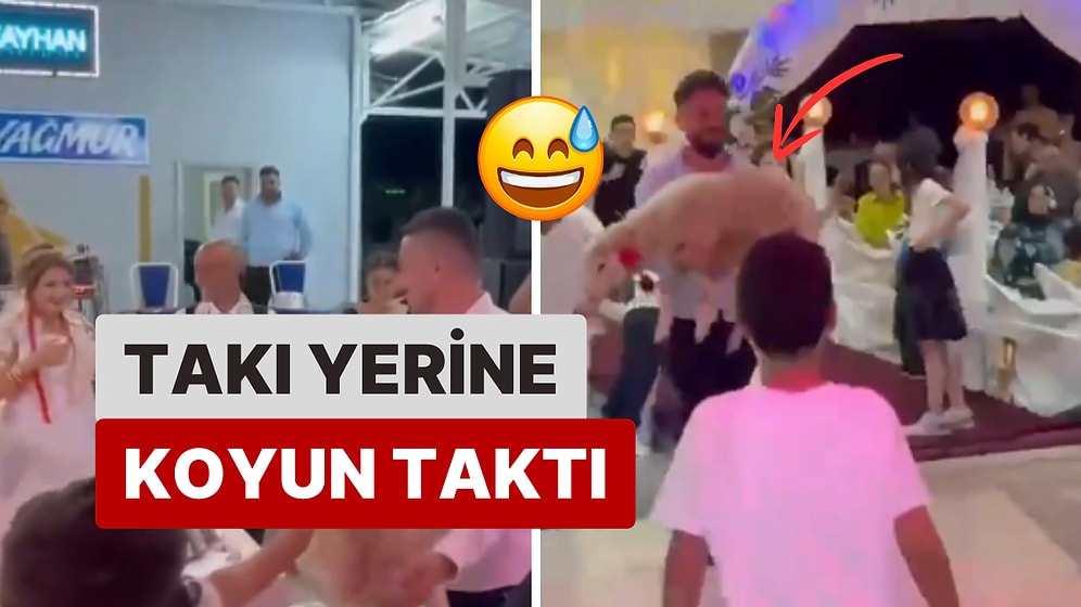 Düğünde İlginç Anlar: Damada Arkadaşı Tarafından Takı Yerine Koyun Hediye Edildi!