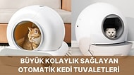 Hem Kediniz Hem Sizin İçin Otomatik Kedi Tuvaleti Kullanmanın Faydaları!