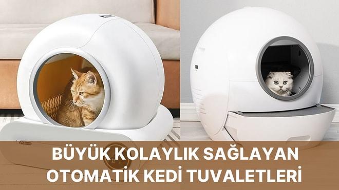 Hem Kediniz Hem Sizin İçin Otomatik Kedi Tuvaleti Kullanmanın Faydaları!