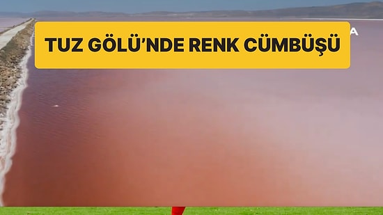 Tuz Gölü Pembeye Döndü: Alg ve Bakteri Patlaması