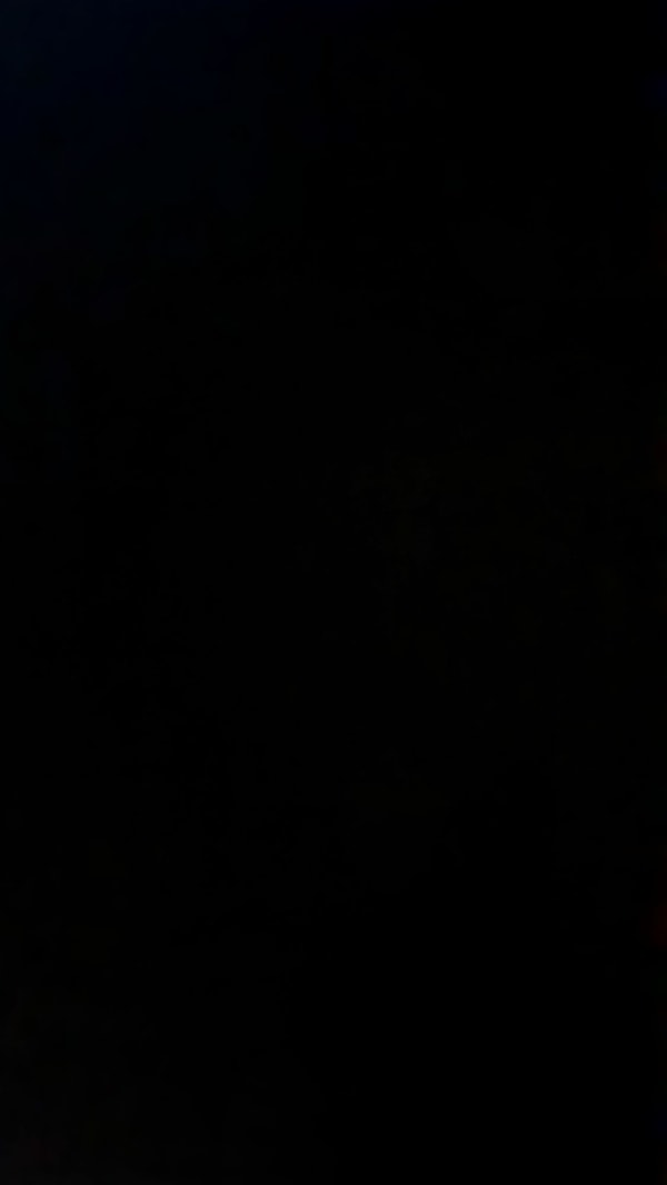 zenan yılmaz