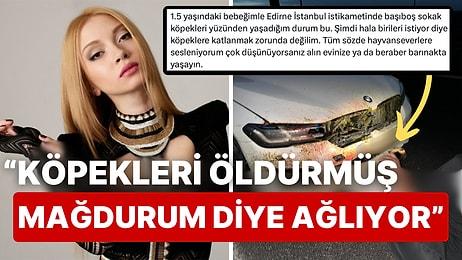 "Başıboş Sokak Köpeklerine" Çarpıp Sinirlenen Kullanıcıya Ece Seçkin'den Zehir Zemberek Sözler!