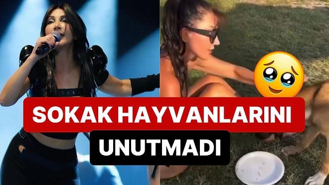 Hande Yener'den Sokak Hayvanlarıyla İlgili Duyar Dolu Paylaşım Geldi: ''Allah'ım Herkese Vicdan Ver''