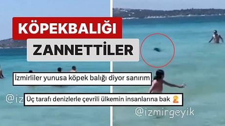 İzmir Çeşme'de Panik Dolu Anlar Yaşandı: Yunusu Köpekbalığı Zannettiler!
