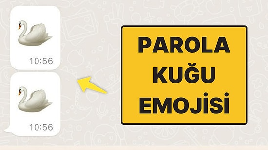 Doktorlara Reçete Operasyonu: WhatsApp’tan Kuğu Emojisi Atarak Haber Vermişler